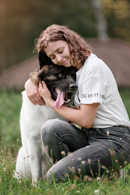 A happy dog looking up at its owner, representing pet care and animal health at Wild Heart.